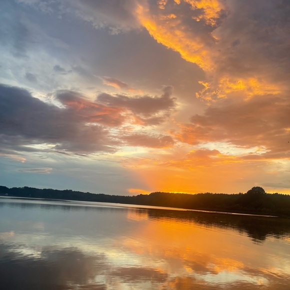 Meet your Posher, Rachael - Picture 6 of 10